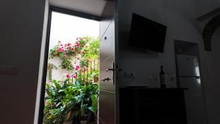 Apartamento Ipanema - Conil de la Frontera - 1