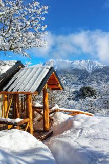 Paraiso de Montaña - Villa Pehuenia - 0