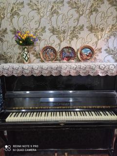 Гостевой дом Sadbarg - Samarcanda - 7