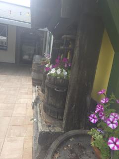 Gasthof zum Schiffmeister - Wesenufer - 4
