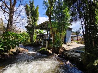 อินทนนท์ บ้านพักเล่าจู Inthanon Laoju House - Ban Na Yang - 8