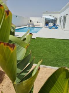 Cartagena - Taguermess - 6