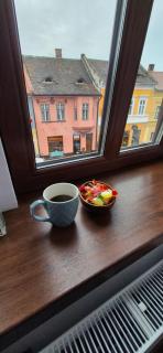 Iedera One - Sibiu - 3