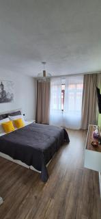 Iedera One - Sibiu - 9
