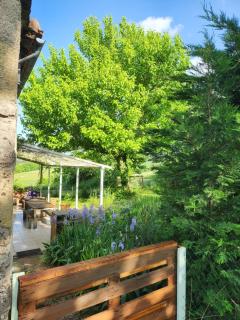 Domaine Langelet - Insolite 40"Toulouse - Saint-Gauzens - 2