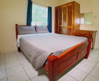 Tropical Breeze Grenada - Westerhall Land Settlement - 8