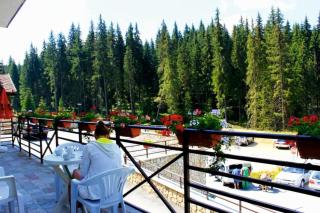 Forest Retreat - Stoykite - 5