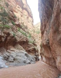 KASBAH DES MONTAGNS maisons d'hôtes la vallée des roses - Bou Tharar - 7