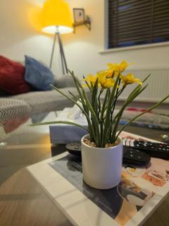 Lakeside Family stay - Oakham - 9