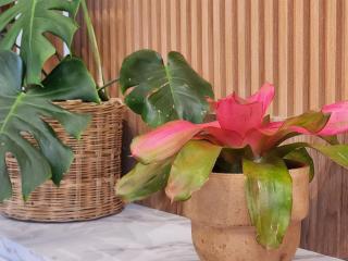 Love Stay - Clio Suite - 3