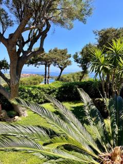Bellavista Porto Rotondo - Porto Rotondo - 6