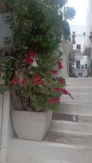 La Chicca di C.Cavour - Ostuni - 8
