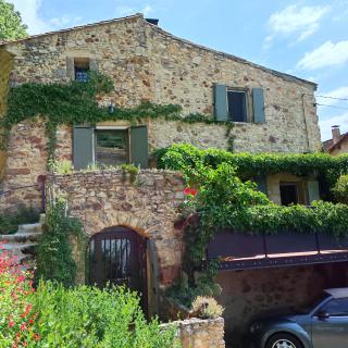 un pied dans la forêt - 0