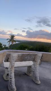 Flor de Lótus Privilege - 2