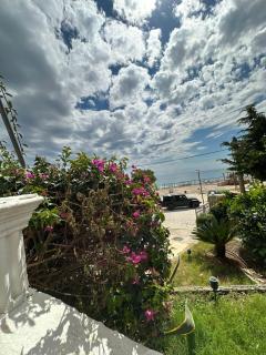 Malibu Hotel - Dhërmi - 4