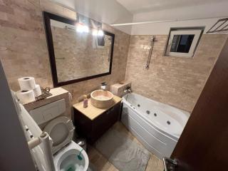 Nicolae Caramfil Appartment - Bucarest - 0