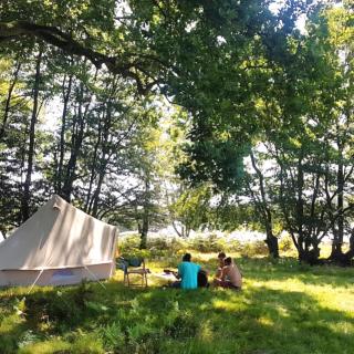 Lurley Manor - Lurley Hideaways - Washfield - 1