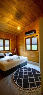 cedar villa with nature views - Olympos - 3