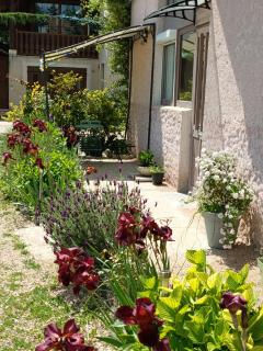 gite des palmiers - Ameugny - 8