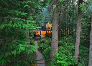Sauk River Cabins - Hot tub - Firepit - - 8