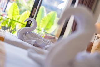 Darsa House Ubud - 1