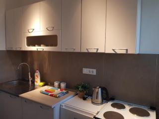 Spacious and comfortable apartment - Podgorica - 5