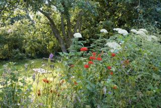 Lower Severalls Farmhouse - Crewkerne - 9