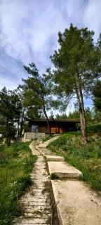 cedar villa with nature views - Olympos - 7