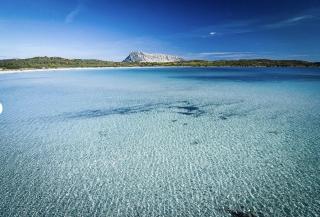 HH San Teodoro vista Mare - San Teodoro - 8