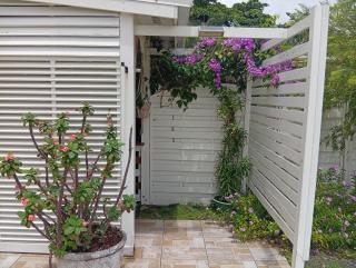 Les Bromélias chez Djo et Rosy - Sainte-Marie - 8