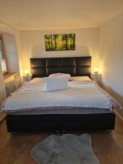 Apartment am Boselgarten - Coswig - 1