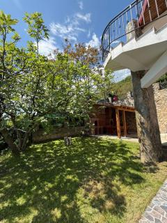 Pensiunea Iulia - Eşelniţa - 2