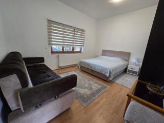 Apartman Nedim - Free parking - Sarajevo - 1