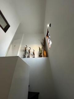 Monoconford - Corrientes - 7