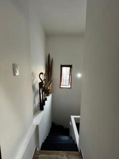 Monoconford - Corrientes - 5
