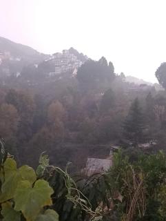 The Nest Homestay - 9