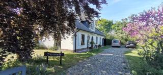 Villa Jacaranda - De Haan - 1