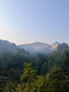 The Nest Homestay - 4