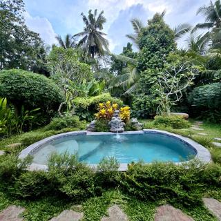 Royal Amertha Ubud Jungle View - Gianyar - 3