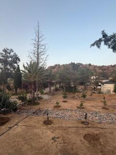 شاليه المزرعة - Taif - 6