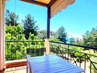 Pine Beach holiday home 2 bedrooms 50 meters to the beach - Kalivia Poligirou - 3