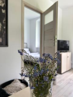 Apartament Jedlinka - Jedlina-Zdrój - 3