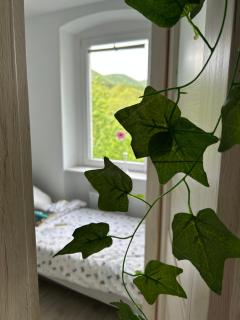 Apartament Jedlinka - Jedlina-Zdrój - 8