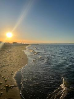 Vista Mare Luxury Rooms & Apartments - Margherita di Savoia - 6