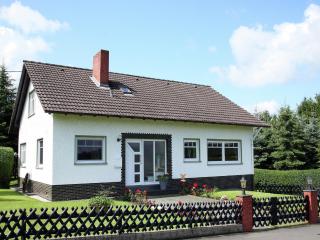 Villa in Trierscheid Eifel near the forest - Trierscheid - 0