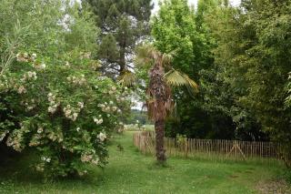 Gites La Carolie Le Figuier - Mauzac-et-Grand-Castang - 1