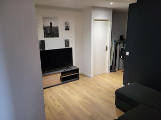 Chambre privée dans un appartement en colocation proche Aéroport, GROUPAMA STADIUM, LDLC ARENA EUROXPO - Décines-Charpieu - 5