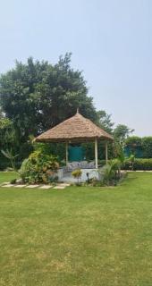 Shree Krishna Dham 3BHK Villa with private pool and lush garden in Sector-135 Noida - Jāmb - 1