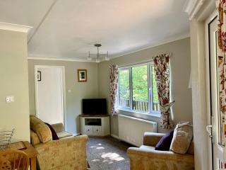 Riverside Hideaway, Sunny Lyn Holiday Park - Barbrook - 8
