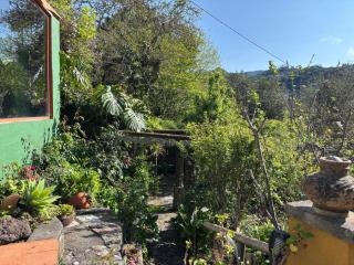 Los Matos, Canarian house in Valleseco - Valleseco - 9